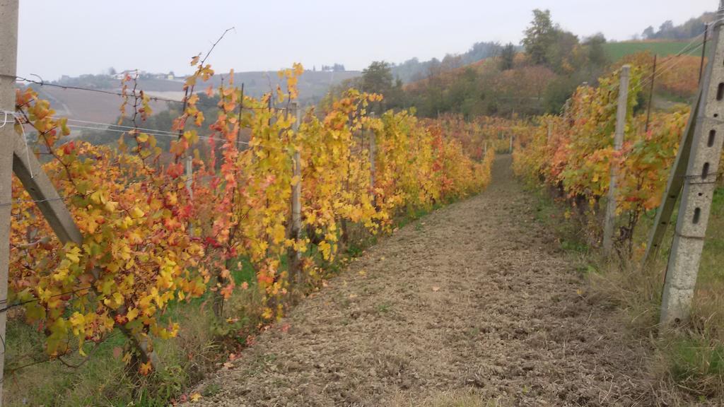 Cascina Torello
