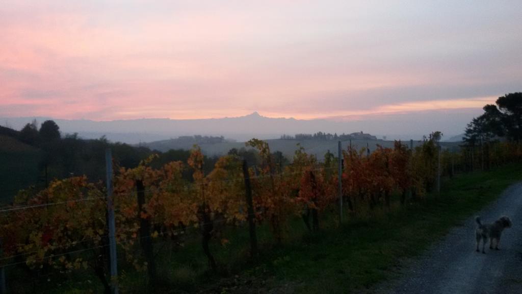 Cascina Torello Bed and breakfast Dogliani