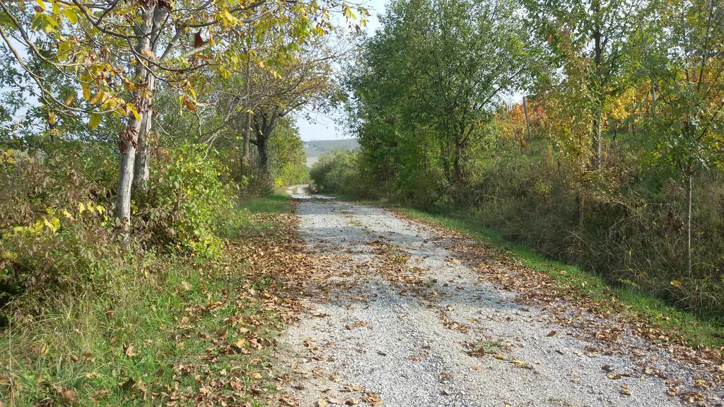 Cascina Torello *