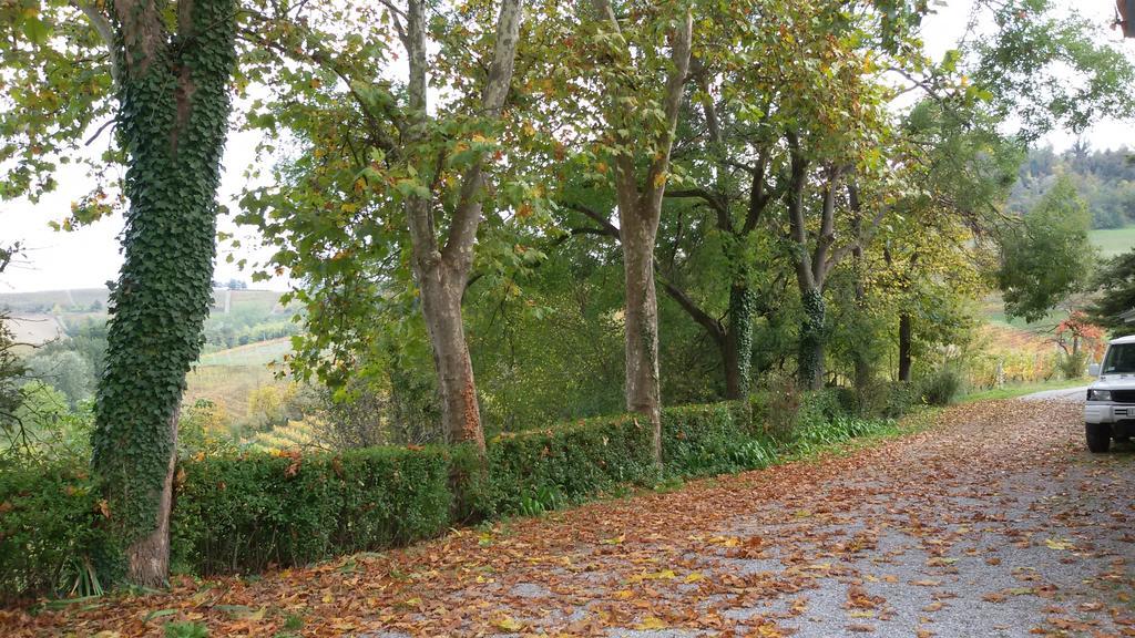 Cascina Torello Bed and breakfast