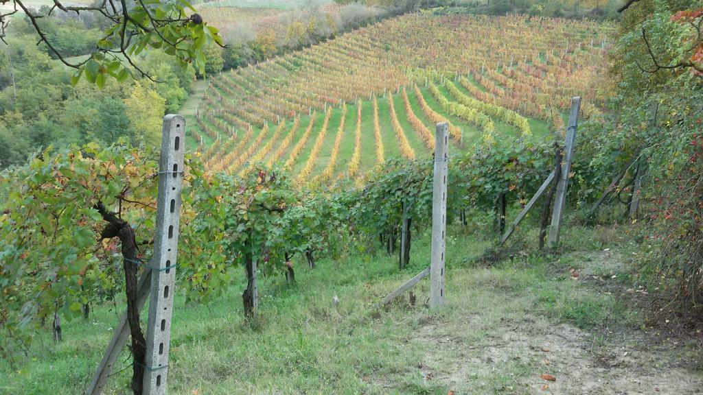 Cascina Torello *