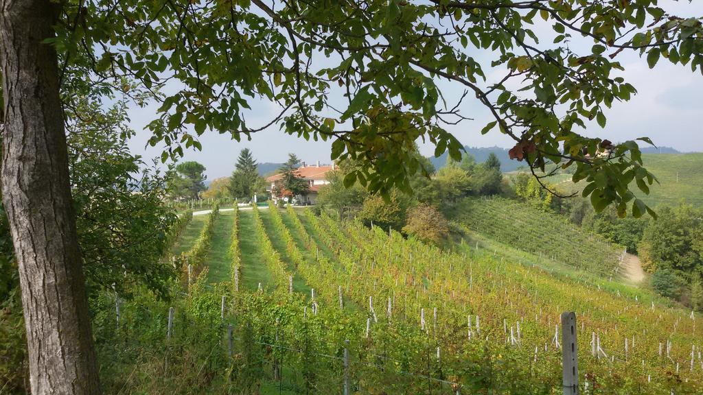Cascina Torello * Dogliani