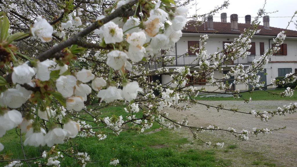Cascina Torello Bed & Breakfast *