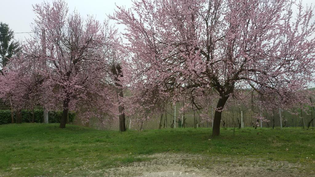 Bed & Breakfast Cascina Torello *