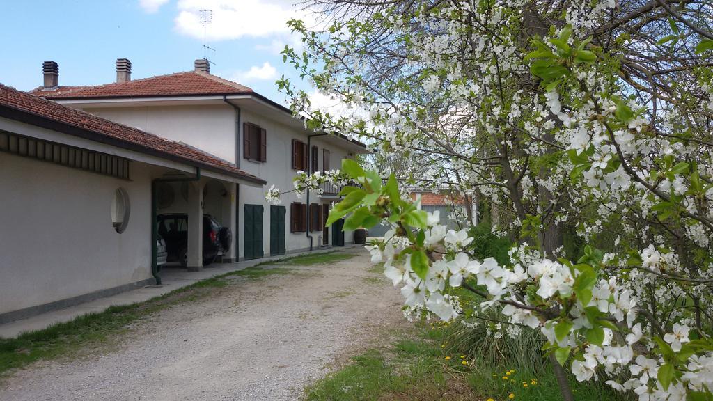 Cascina Torello Dogliani