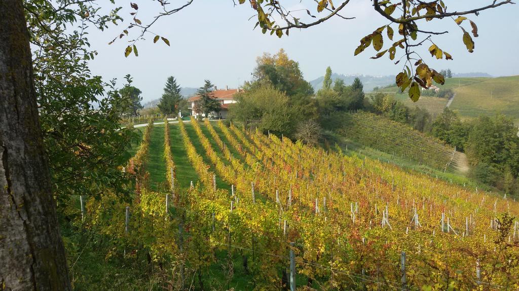 Bed & Breakfast Cascina Torello