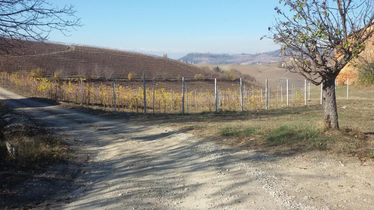 Cascina Torello Dogliani