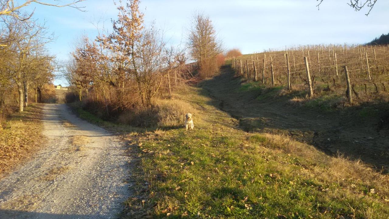 Bed & Breakfast Cascina Torello *