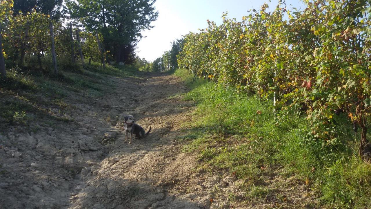 Cascina Torello